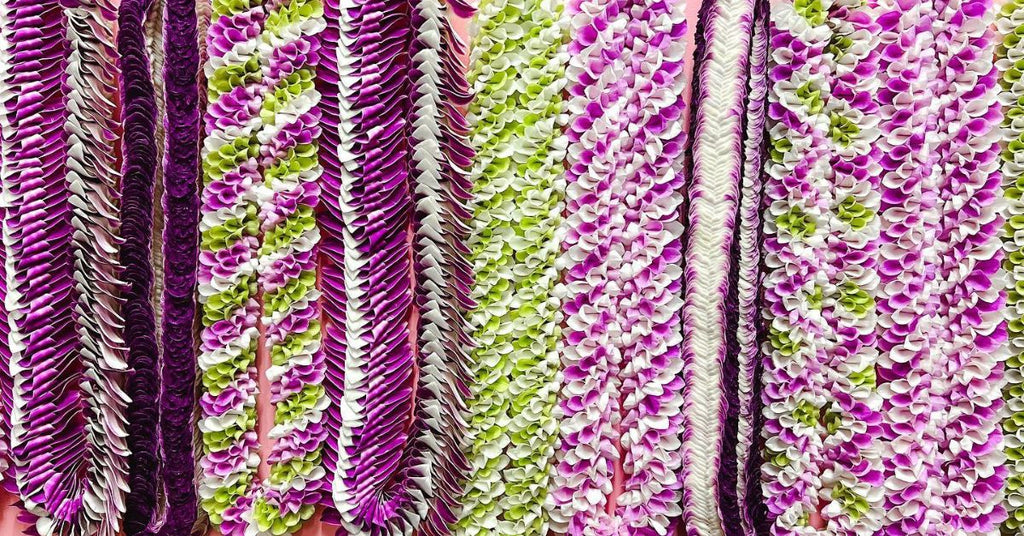 5 Orchid Colors That Make Great Color Schemes