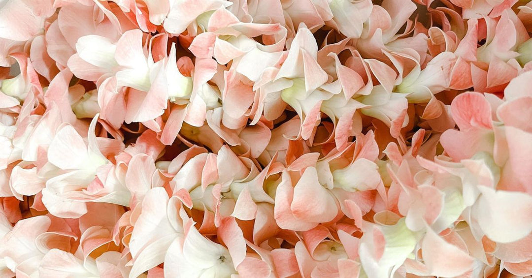 What Season Is Best for Ordering Fresh Lei?