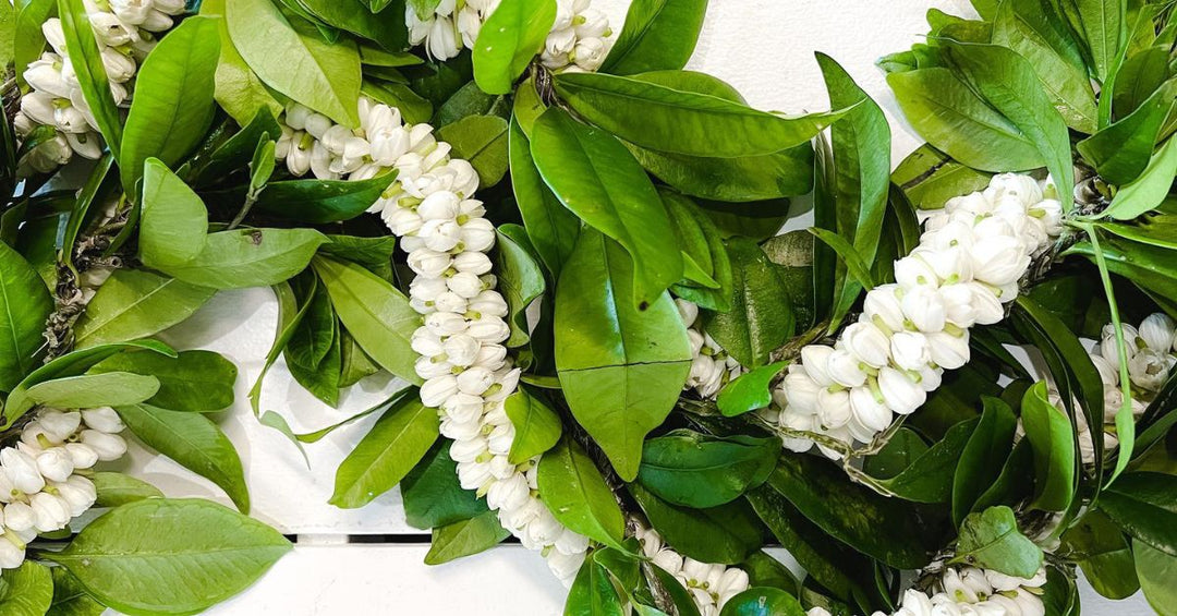 How To Ship Fresh Memorial Lei With Care Instructions