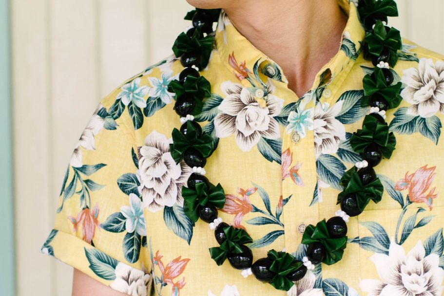 What Is a Lei? - Meaning & Examples
