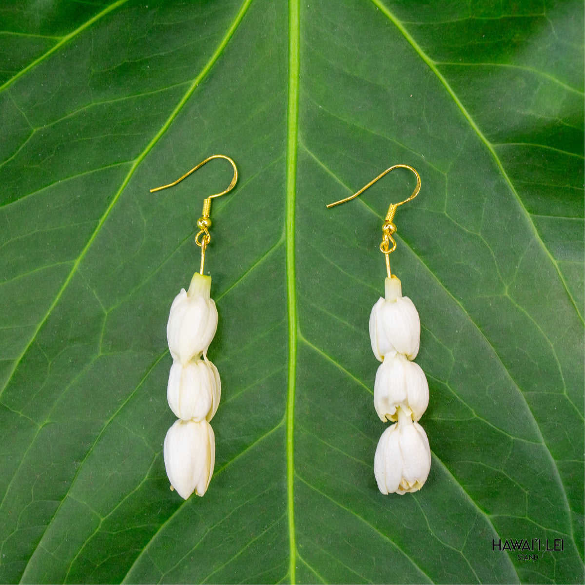 HLS-LSPP-_Nohea-Earring_2025-