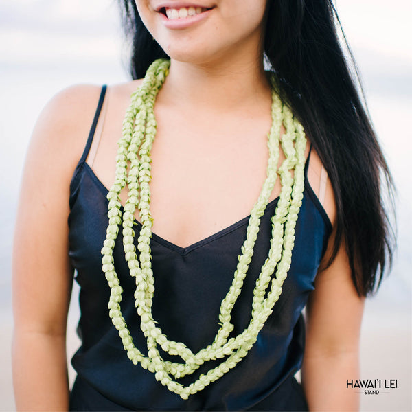 Pakalana Lei (Multiple Strands) - Hawai'i Lei Stand - Lei Shipping
