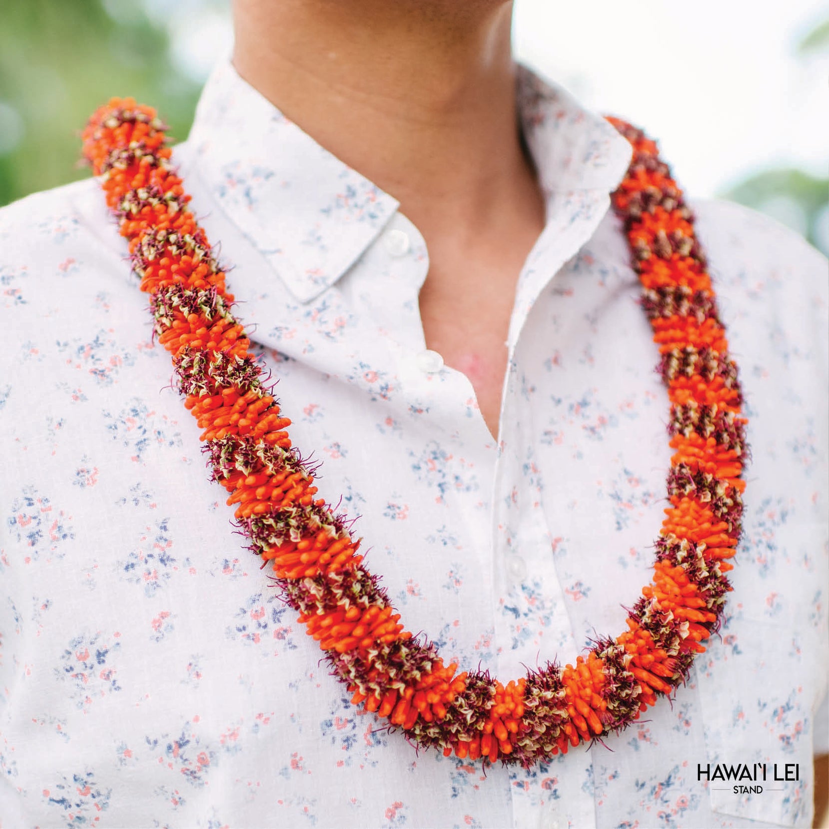 Cigar Lei - Hawaii Lei Stand - Lei Shipping & Delivery